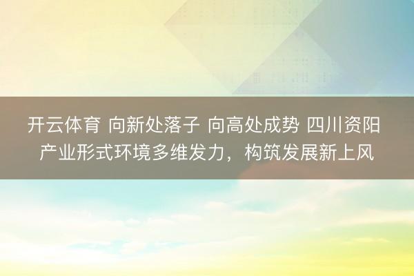 开云体育 向新处落子 向高处成势 四川资阳 产业形式环境多维发力，构筑发展新上风