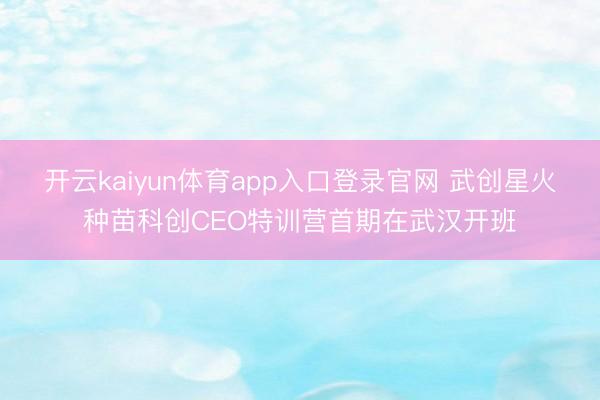 开云kaiyun体育app入口登录官网 武创星火种苗科创CEO特训营首期在武汉开班