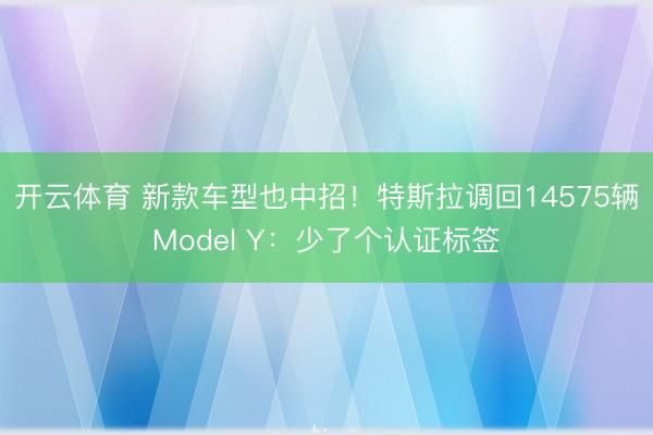 开云体育 新款车型也中招！特斯拉调回14575辆Model Y：少了个认证标签