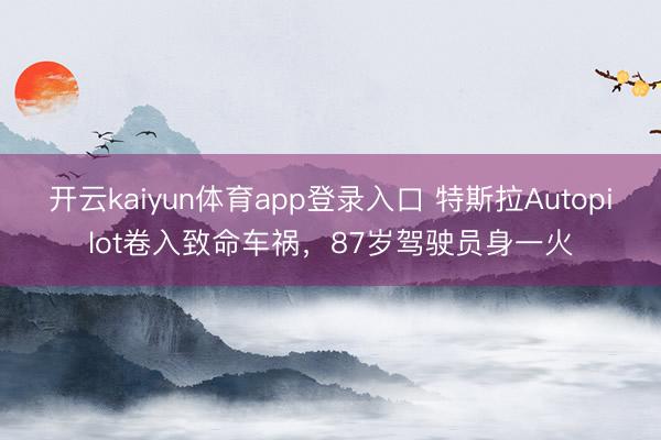 开云kaiyun体育app登录入口 特斯拉Autopilot卷入致命车祸，87岁驾驶员身一火