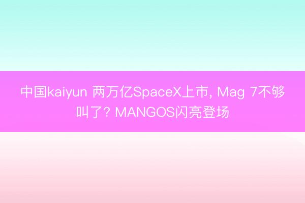 中国kaiyun 两万亿SpaceX上市， Mag 7不够叫了? MANGOS闪亮登场