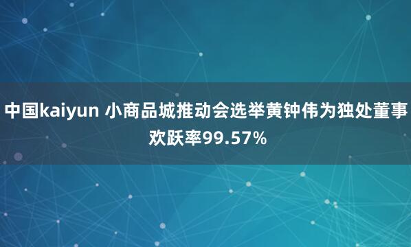 中国kaiyun 小商品城推动会选举黄钟伟为独处董事 欢跃率99.57%